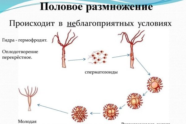 Кракен даркнет отзывы