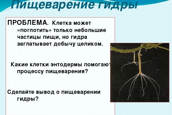 Кракен сайт krknwebs