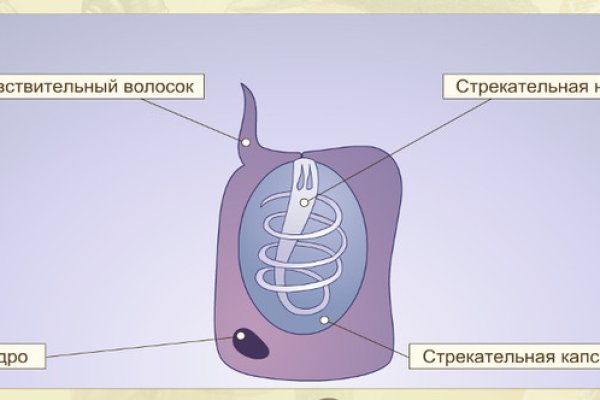 Кракен даркнет скачать
