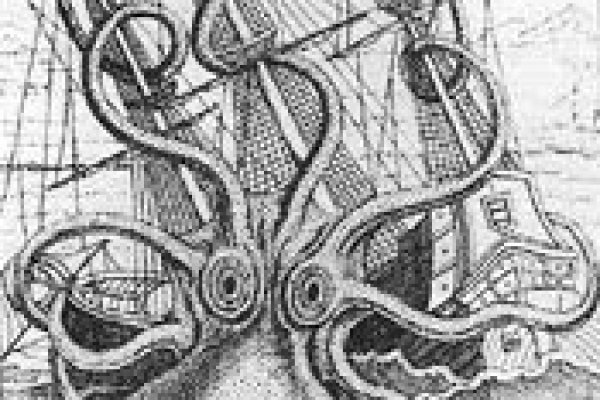Как найти kraken
