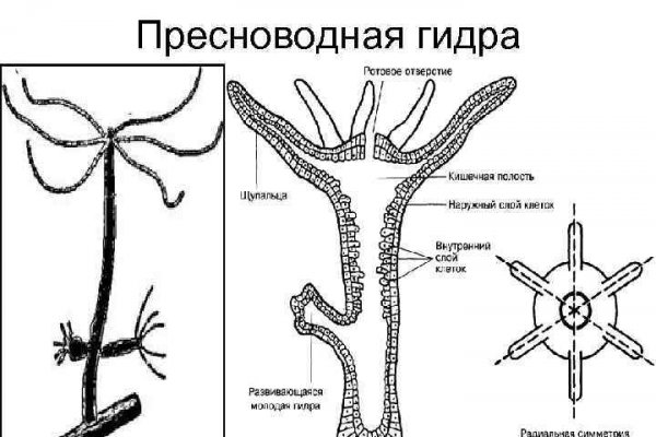 Кракен магазин наркотиков