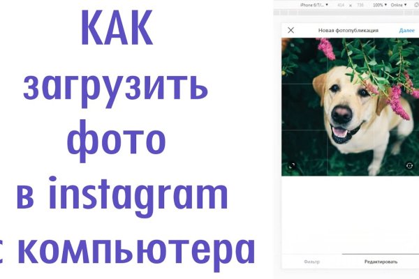 Kraken официальное зеркало kraken dark link