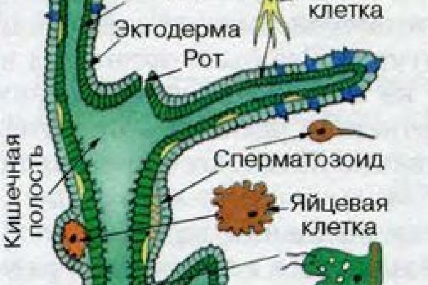 Как зайти на кракен с компа
