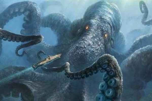 Kraken forum